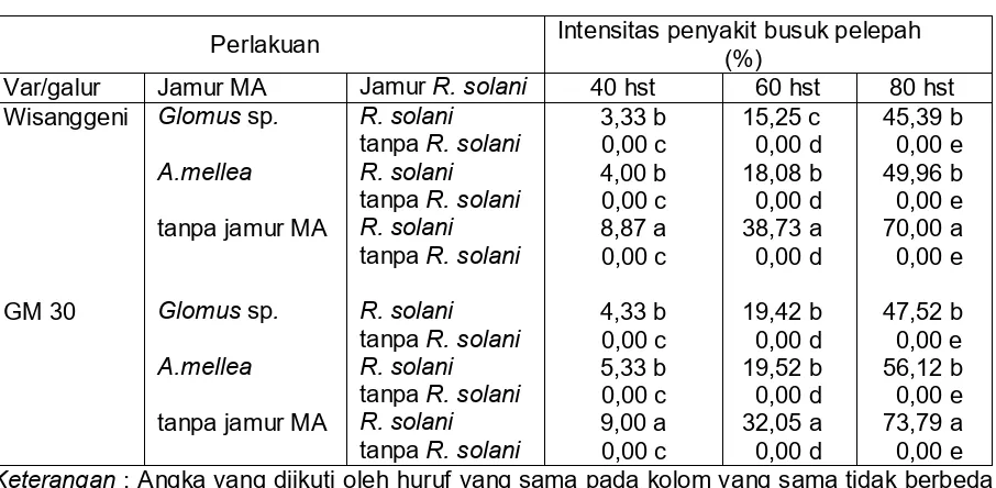 Tabel 1. Intensitas penyakit busuk pelepah pada dua varietas jagung yang diinokulasi dengan mikoriza Glomus  sp