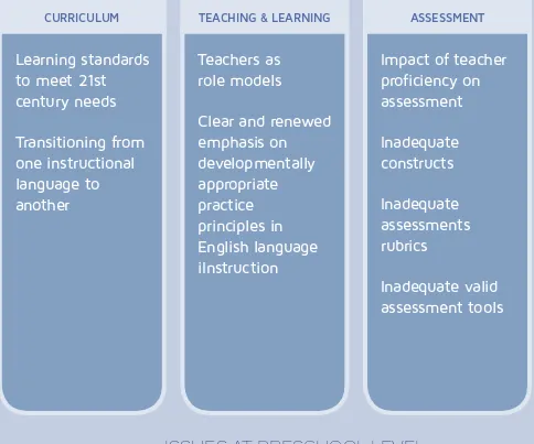 Figure 4.2  Issues at Preschool Level 
