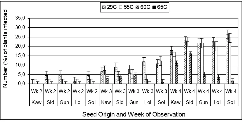 Figure 1. PtMtV infection frequency on peanut plants grown from seeds previously treated with hot water (vertical bars represent the standard errors)