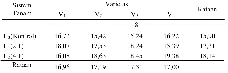 Tabel 6. Bobot per 1000  gabah  kering umur 17 MST  pada  sistem tanam dan beberapa varietas 