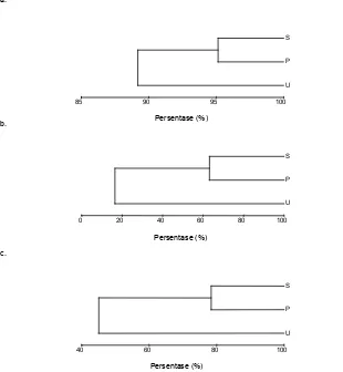 Gambar 3. Dendrogram Sungai Donan saat pengerukanFigure 3. Dendrogram at River Donan on dredging operation