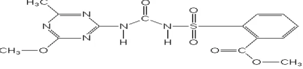 Gambar 4. Struktur Kimia Metil Metsulfuron (Anonim, 2001) 