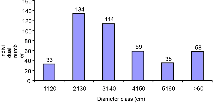 Figure 1. Number of tree species and individual and their cumulative for each 10 m asl