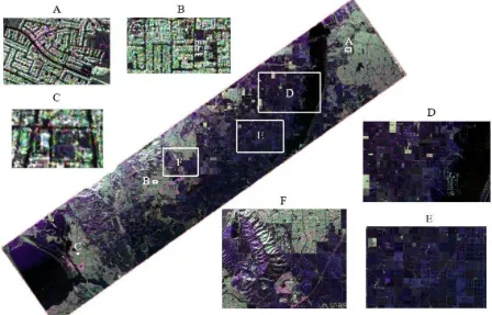 Figure 2 Georeferenced image, A (260×128 pixel), B (200×87 pixel), C (94×48 pixel), D (541×1025 pixel), E (2252×1202) and F  (1672×1051 pixel) of 2014 UAVSAR image
