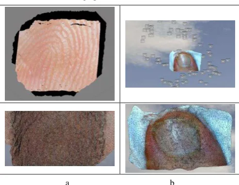 Figure 5. Sample microscopic images obtained for modeling. a) Fingerprint. b) Toenail surface