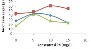 Gambar 2. Pengaruh  Pb  dengan  konsentrasi  berbeda  terhadap  Hydrilla,  Pistia, dan