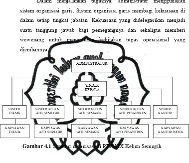 Gambar 4.1 Struktur organisasi di PTPN IX Kebun Semugih 