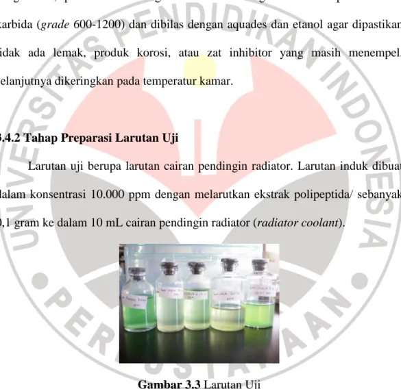 Gambar 3.3 Larutan Uji 