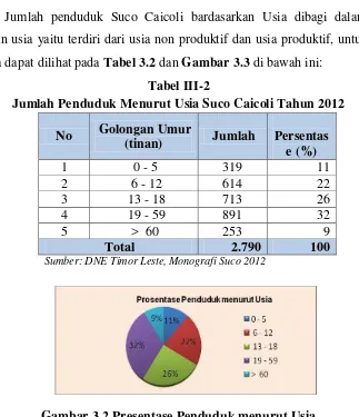 Gambar 3.2 Presentase Penduduk menurut Usia 