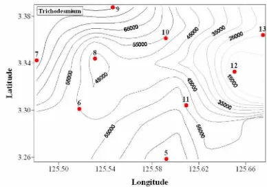 Figure 3. Abundance and dfistribution of Cyanobacteria Trichodesmium sp.