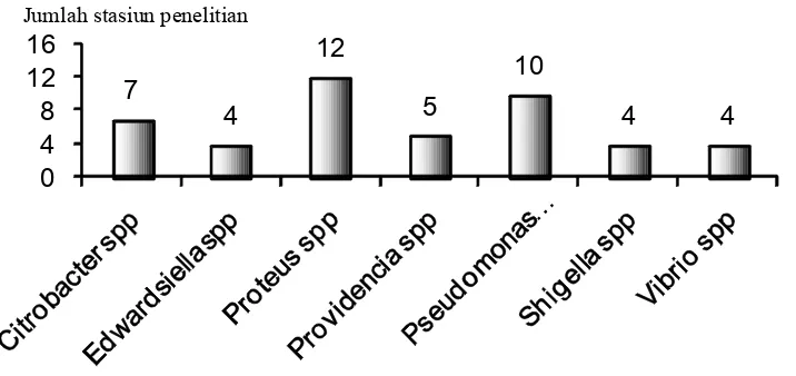 Gambar 3.  Frekuensi jenis)jenis bakteri patogen yang diisolasi dari sampel air laut di perairan Selat Makassar pada bulan Oktober 2003 Figure 3