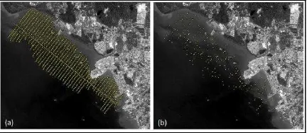 Figure 2: Pleiades multispectral images for Tawau area. Image (a) Blue Band; (b) Red Band; (c) Green Band; and (d) NIR Band