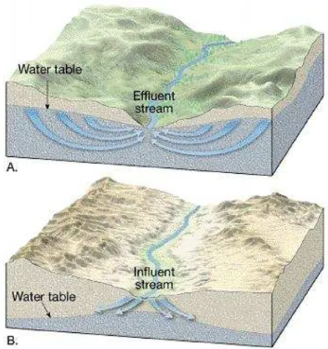 Gambar 14. Ilustrasi Effluent Stream dan Influent Stream 