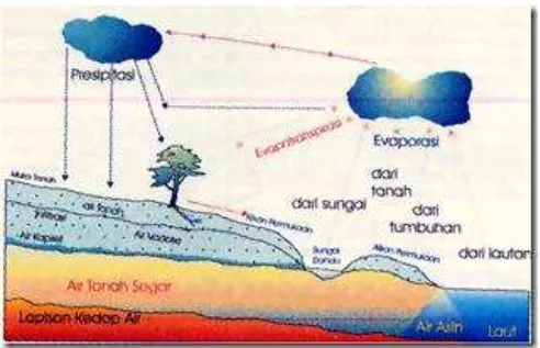 Gambar 2. Proses terjadinya evaporasi 