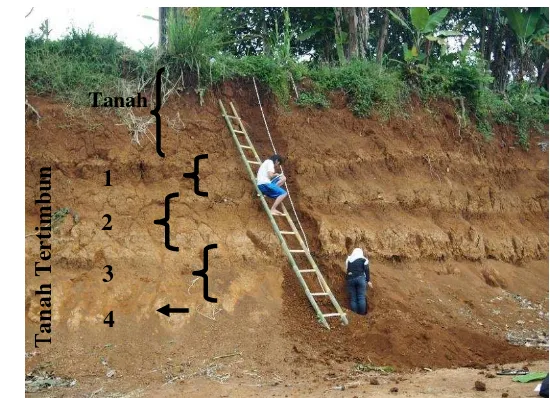 Gambar 2. Singkapan tanah di lokasi penelitian 