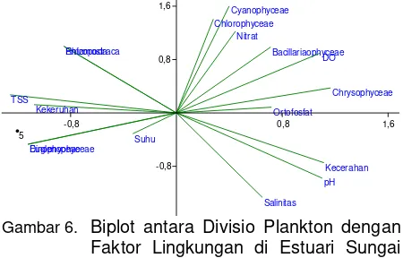 Gambar 6.   Biplot antara Divisio Plankton dengan -1,6