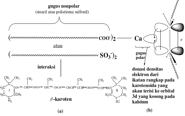 Gambar 1.3. Interaksi antara karotenoida dengan adsorben kalsium stearat atau kalsium polistirena sulfonat: (a) interaksi karotenoida dengan gugus nonpolar pada adsorben (b) interaksi ikatan rangkap karotenoida dengan logam kalsium pada adsorben 