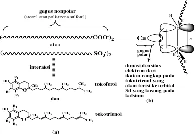 Gambar 1.4. Interaksi antara tokoferol dan tokotrienol dengan adsorben kalsium stearat atau kalsium polistirena sulfonat: (a) interaksi tokoferol dan tokotrienol dengan gugus nonpolar pada adsorben, (b) interaksi ikatan rangkap tokotrienol dengan logam kalsium pada adsorben 