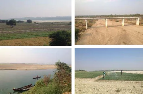 Figure 5. Study area photographs during ground truth and field verification in central dry zone area of Myanmar