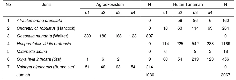Tabel 1. Spesies belalang yang ditemukan di agroekosistem dan hutan tanaman.  