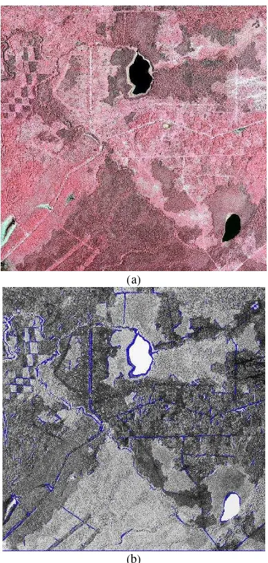 Figure 6: Algorithm validation through additional test area. (a) The false colored optical imagery of the test area with the near-are coloured in blue and overlaid on the optical image red(b) The road segments generated from the proposed algorithminfrared 