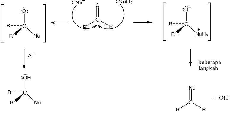 Gambar 2.8. Mekanisme Reaksi Adisi Nukleofilik pada Aldehida atau Keton   