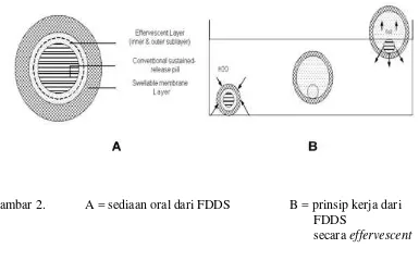 Gambar 2.            A = sediaan oral dari FDDS                  B = prinsip kerja dari 