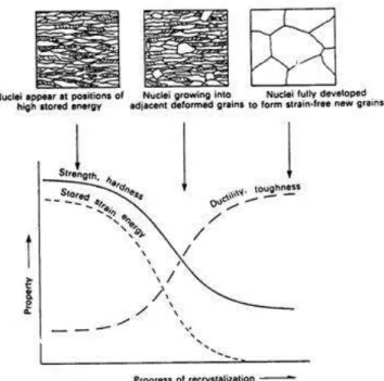 Gambar 1. Skema proses rekristalisas (Alexander &amp; Davies, 1985).  Rekristalisasi  merupakan  sebuah  fenomena 