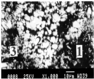 Gambar  5.  Mikrostruktur  PEB  U3Si2-Al  pada  pemanasan 650 o C 