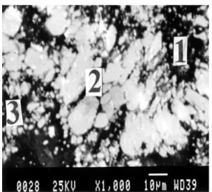 Gambar  6.  Mikrostruktur  PEB  U3Si2-Al  pada  pemanasan 900 o C 