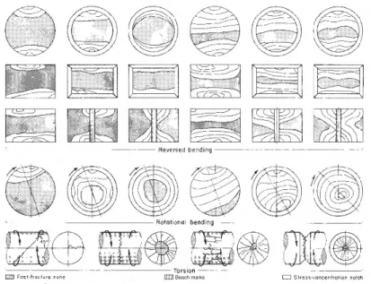 Gambar 2.7 Skematik Fatigue Fracture [6] 