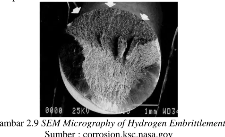 Gambar 2.9 SEM Micrography of Hydrogen Embrittlement  Sumber : corrosion.ksc.nasa.gov 