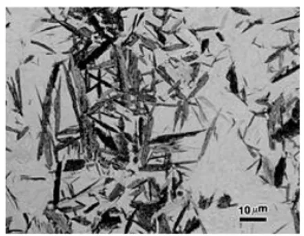 Gambar 4. Struktur mikro bainite, pengamatan dengan mikroskop elektron Hasil  foto  SEM  permukaan
