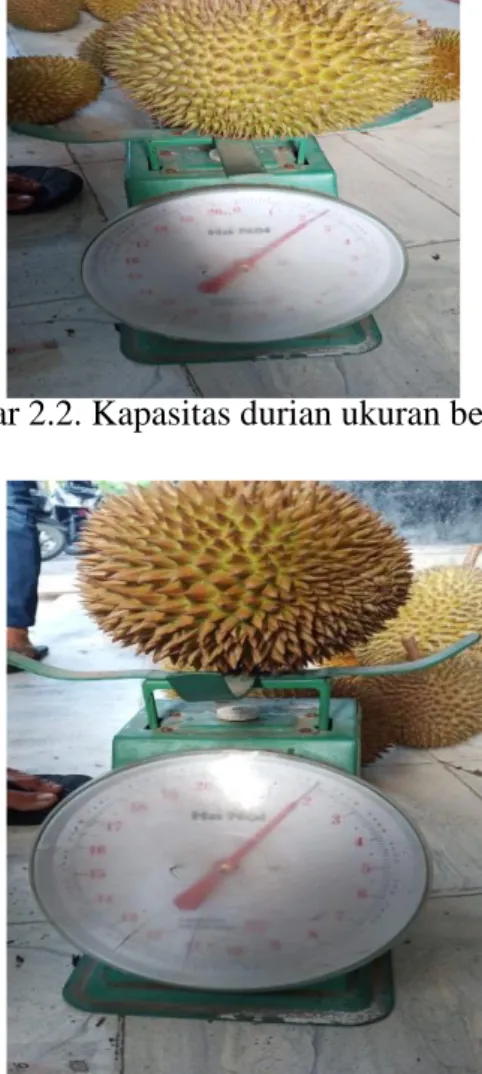 Gambar 2.2. Kapasitas durian ukuran besar 