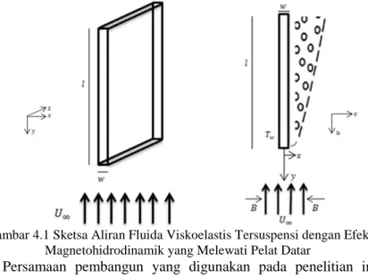 Gambar 4.1 Sketsa Aliran Fluida Viskoelastis Tersuspensi dengan Efek  Magnetohidrodinamik yang Melewati Pelat Datar 