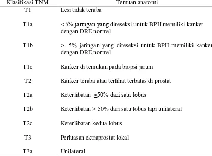 Tabel 2.3. Luas Tumor Primer (T) 