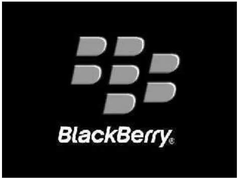Gambar 15. Logo BlackBerry 2