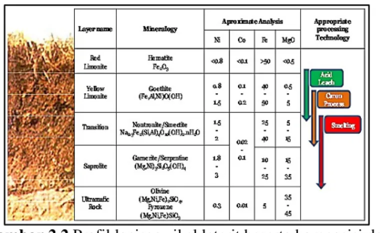 Gambar 2.2 Profil lapisan nikel laterit beserta komposisi dan  jalur pengolahannya (Dor dkk
