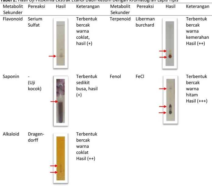Tabel 2. Hasil Uji Fitokimia Ekstrak Etanol Daun Kesum Dengan Kromatografi Lapis Tipis 