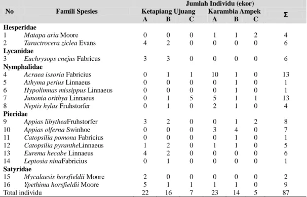 Tabel  1.  Jumlah  individu  kupu-kupu  pengunjung  pada  bunga  semangka  (C.lanatus)  pada  masing-masing 