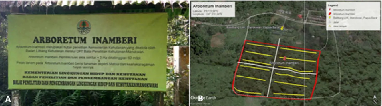 Gambar 1A-B Peta Lokasi Penelitian di Arboretum Inamberi. 