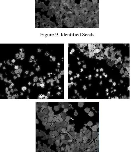 Figure 9. Identified Seeds 