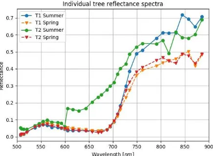 Figure 6. Reflectance spectra of individual trees, 3x3 pixel area. 