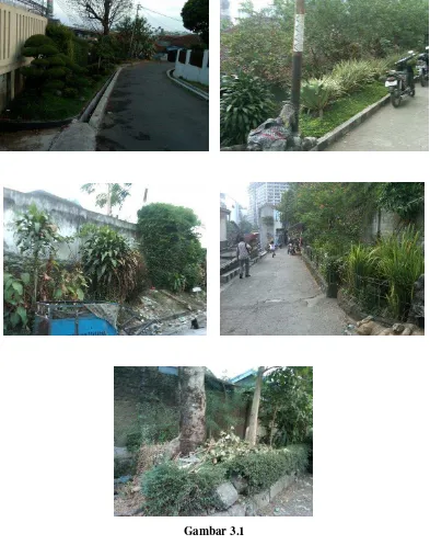 Gambar 3.1 Kondisi Jalur Hijau Di Kelurahan Tamansari 