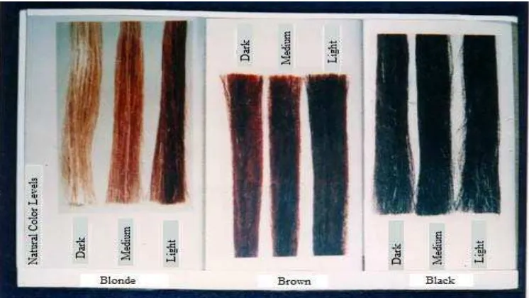 Gambar 3.1 Natural Color Levels (Dalton, J.W., 1985)  