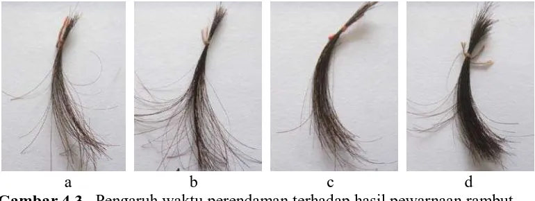 Gambar 4.3   Pengaruh waktu perendaman terhadap hasil pewarnaan rambut                         uban