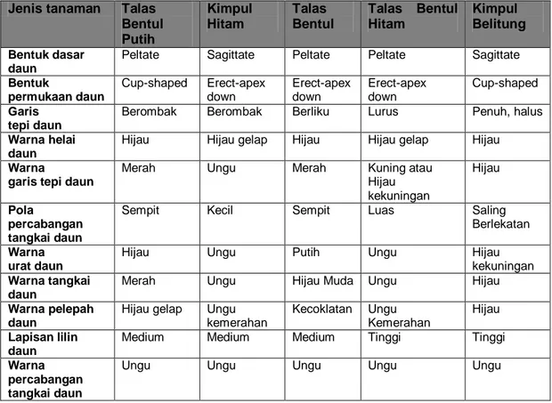 Tabel 2 Karakter utama jenis talas Colocasia dan Xanthosoma 