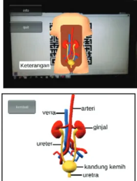 Gambar 4. Contoh Tampilan Objek AR  Organ Ekskresi Manusia (atas) dan Menu 
