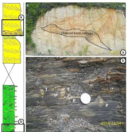Figure 4: (a) Channel-ﬁll by ﬂaser-laminatedheterolithic sandstones, onlapped over channelbank (indicated by red arrows)