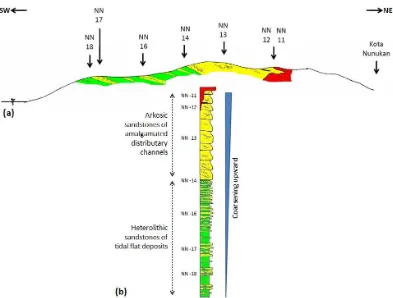Figure 9: (a) Exploratory geological cross section of the western part of Nunukan Island; depictingcoarsening-upward lithofacies trend of Tabul Formation (b), and their relation to the basalt intru-sion.